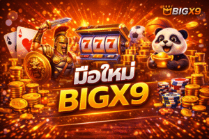 มือใหม่BIGX9